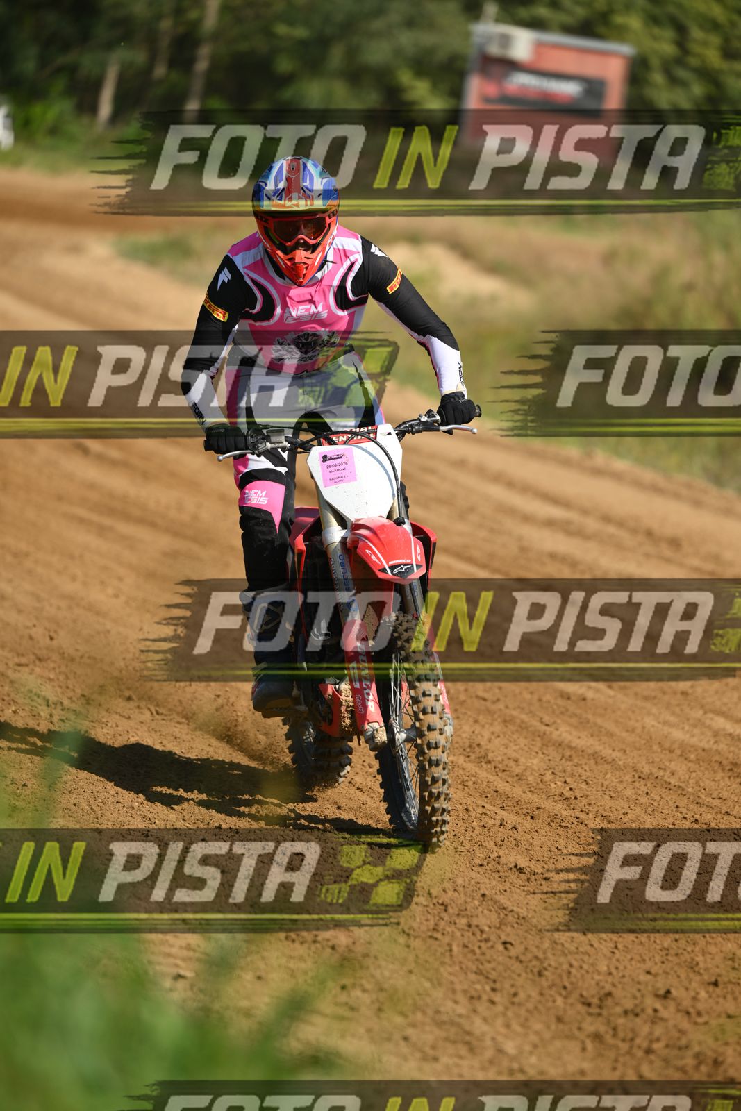 HONDA - PINK WHITE BLACK SHIRT · DSH_0665