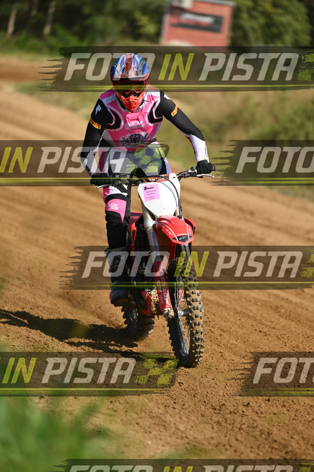 HONDA - PINK WHITE BLACK SHIRT · DSH_0666