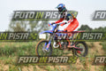 FANTIC RED PINK · DSH_0675