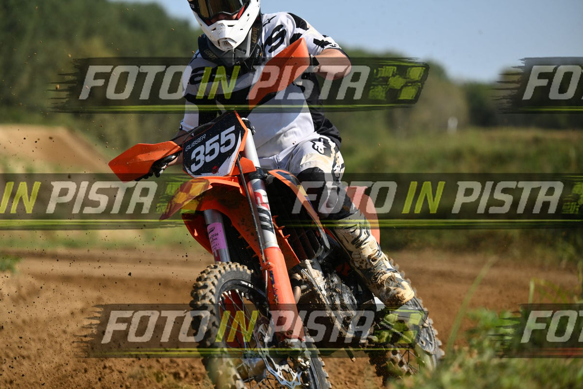 355 · DSH_0689