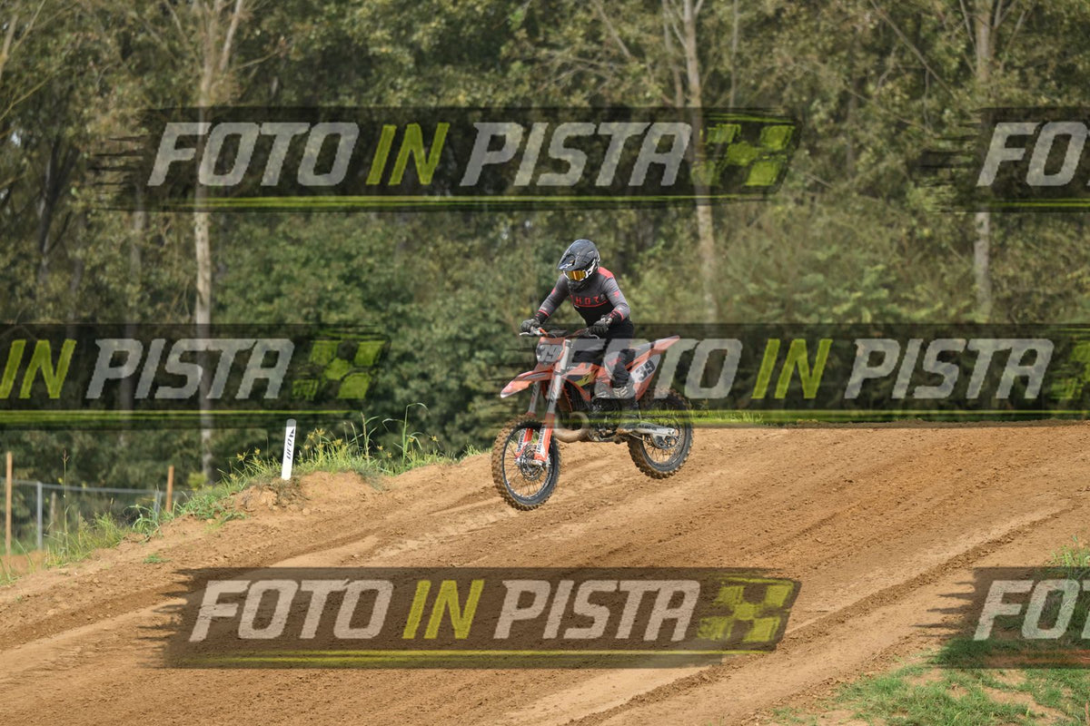 39 · DSH_0706