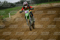 206 · DSH_0709