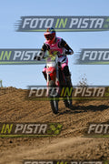 HONDA - PINK WHITE BLACK SHIRT · DSH_0718