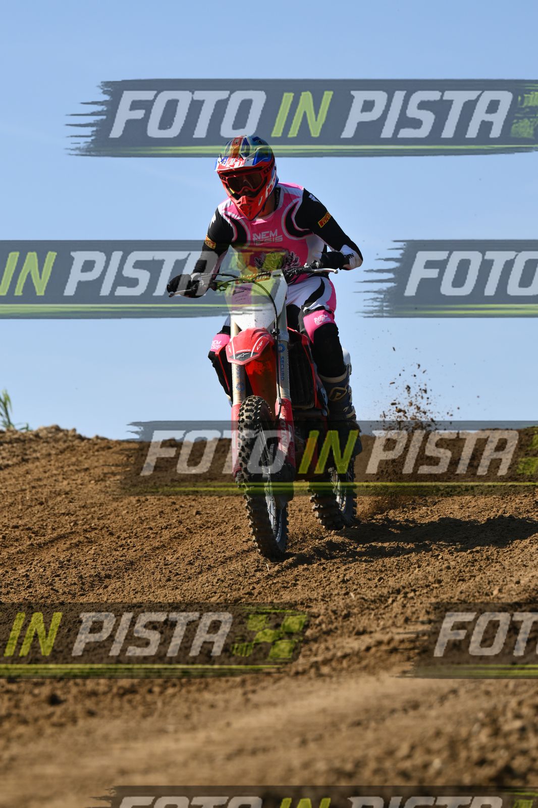 HONDA - PINK WHITE BLACK SHIRT · DSH_0718