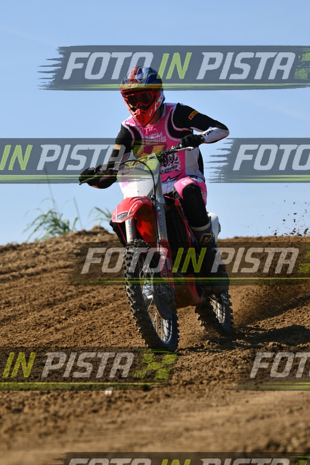 HONDA - PINK WHITE BLACK SHIRT · DSH_0719
