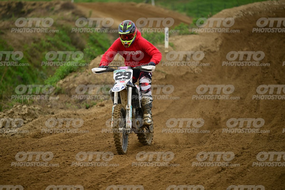 29 · DSH_0732