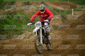 29 · DSH_0733