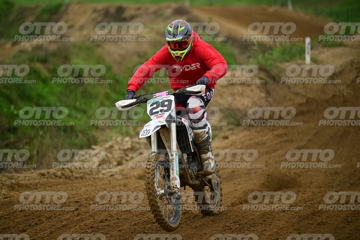 29 · DSH_0733