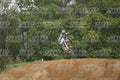 91 · DSH_0737