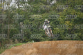 91 · DSH_0738