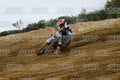 701 · DSH_0745