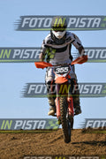 355 · DSH_0747