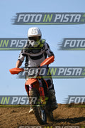 355 · DSH_0748