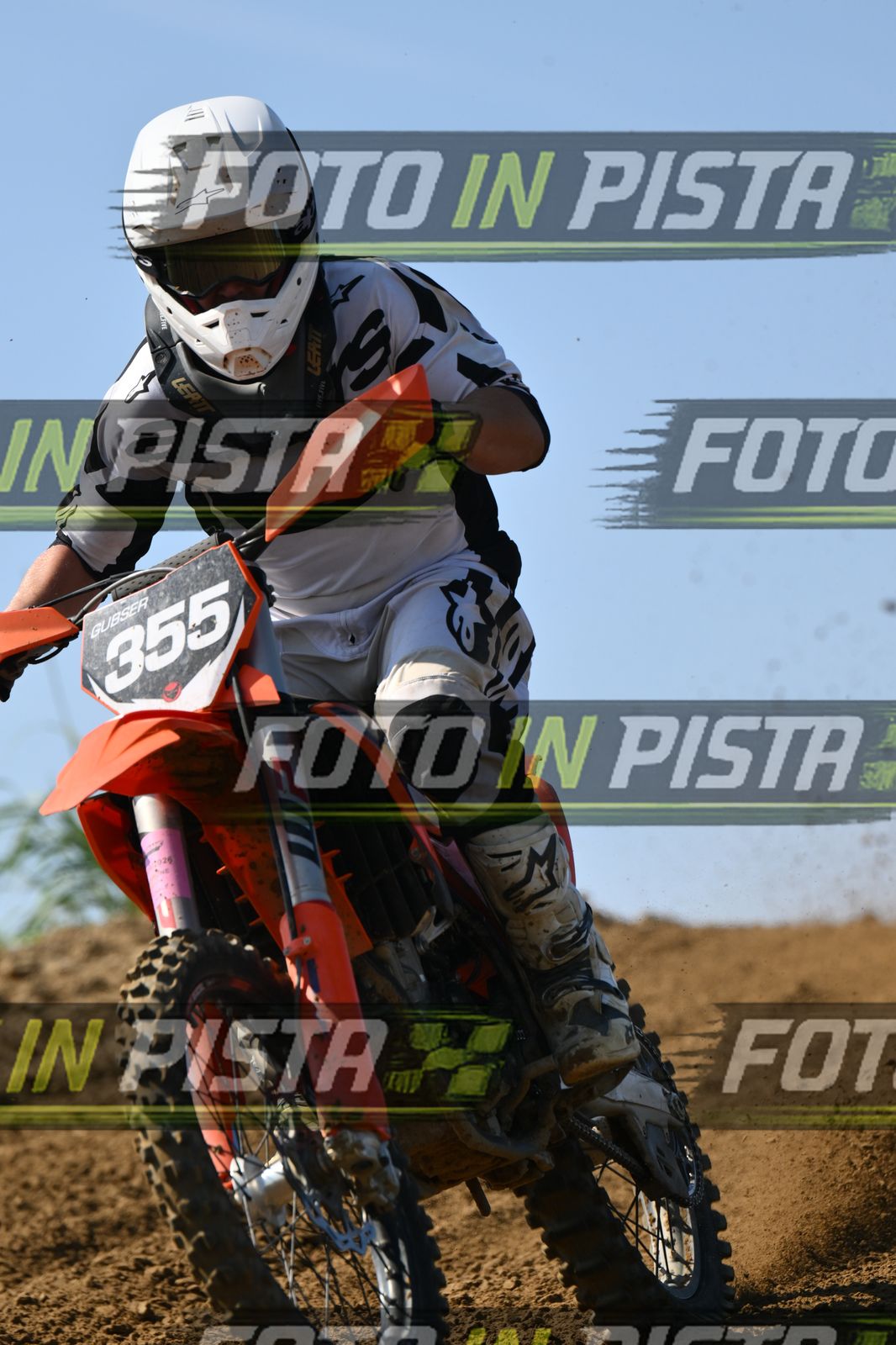355 · DSH_0751