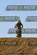 278 O'NEAL · DSH_0769