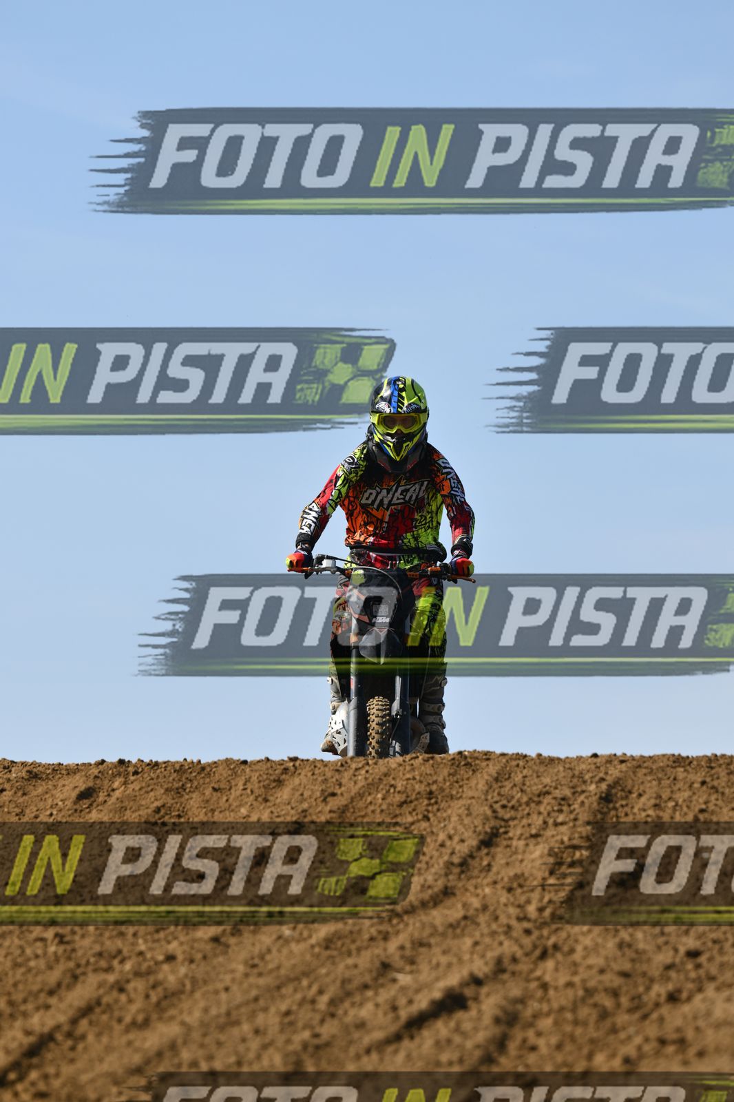 278 O'NEAL · DSH_0771