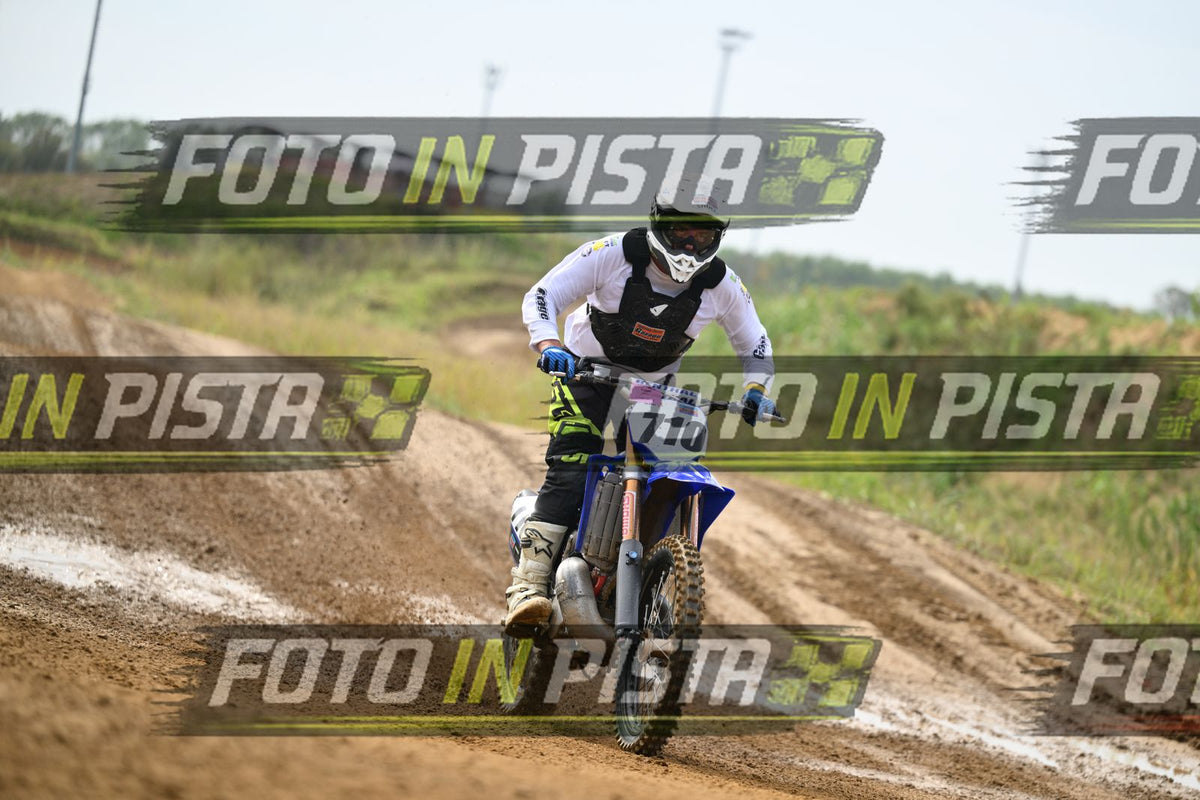 710 · DSH_0774