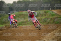 77 · DSH_0775