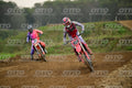 77 · DSH_0776