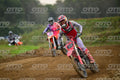 77 · DSH_0778
