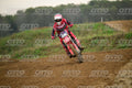416 · DSH_0815