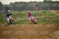 77 · DSH_0820