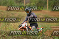 39 · DSH_0825