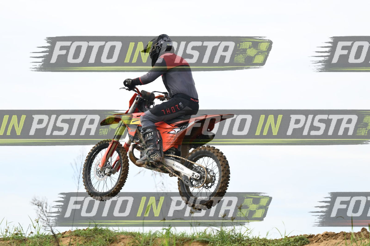 39 · DSH_0827