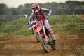 77 · DSH_0827
