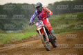 282 · DSH_0830