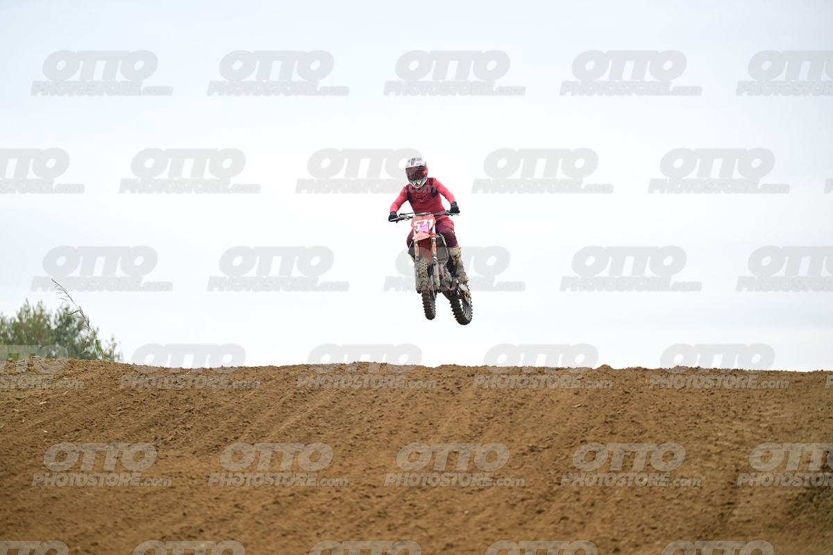 571 · DSH_0831