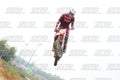 13 · DSH_0831