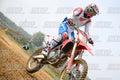 HONDA CRF - White Red Blue Honda Suite · DSH_0849