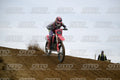 77 · DSH_0875