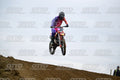 282 · DSH_0877