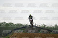 274 · DSH_0890