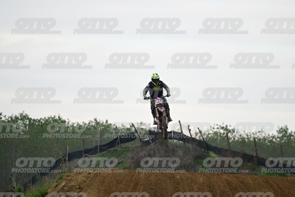 274 · DSH_0890