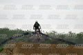 274 · DSH_0891