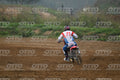 HONDA CRF - White Red Blue Honda Suite · DSH_0894