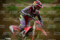 77 · DSH_0910