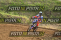 BETA · DSH_0919