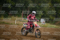 13 · DSH_0958