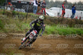 274 · DSH_0976