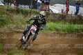 274 · DSH_0977