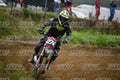 274 · DSH_0978