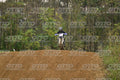 0 YAMAHA ASTARBLACKSUITE · DSH_1002