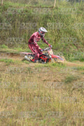 13 · DSH_1042