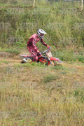 13 · DSH_1043