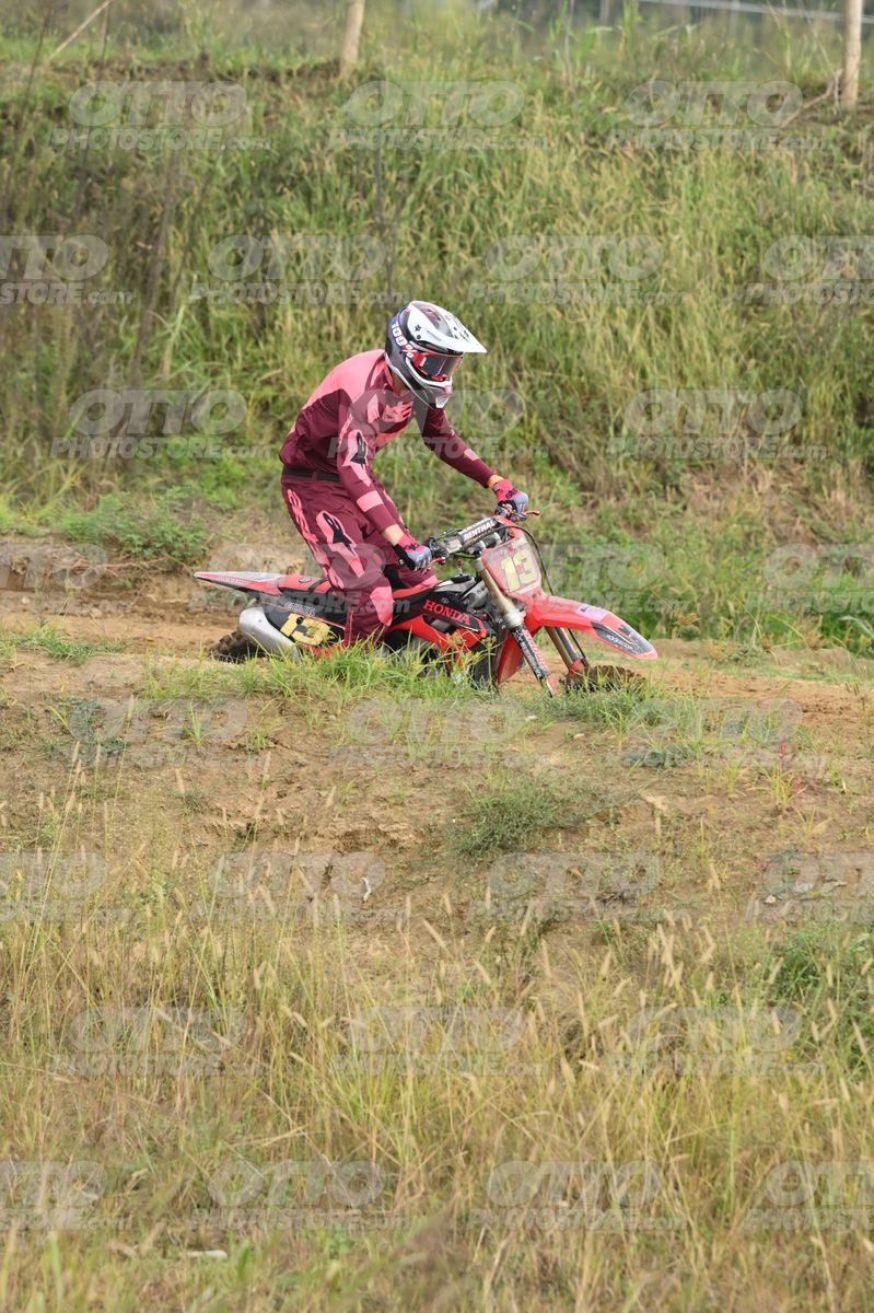 13 · DSH_1043