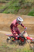 13 · DSH_1045